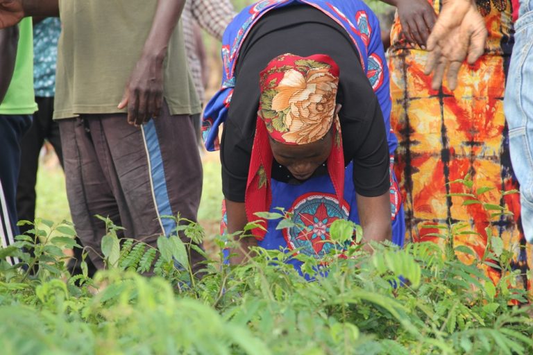 CIAC Joins Forces in Massive Tree Planting Initiative