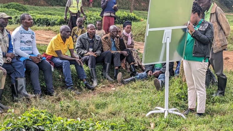 The role of social cohesion on  the development of community